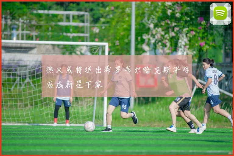 热火或将送出希罗韦尔哈克斯字母或成新星下家