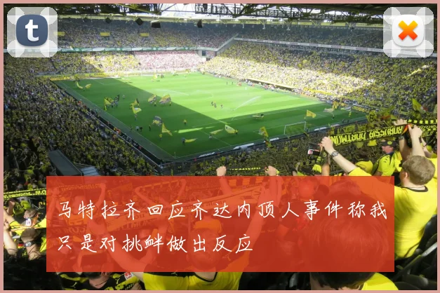 马特拉齐回应齐达内顶人事件称我只是对挑衅做出反应