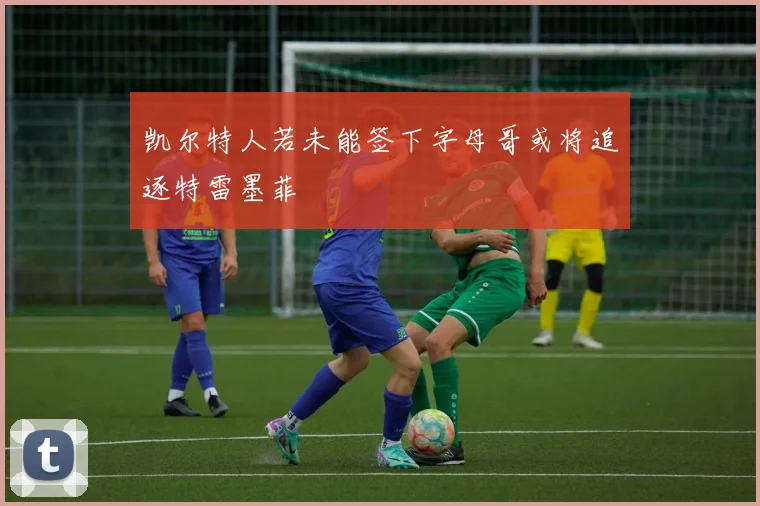 凯尔特人若未能签下字母哥或将追逐特雷墨菲